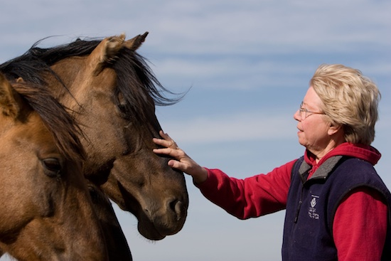 Native Sun News: Hay prices threaten reservation wild horses