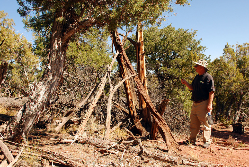 USDA Blog: Tribes document historic wickiup sites in Colorado