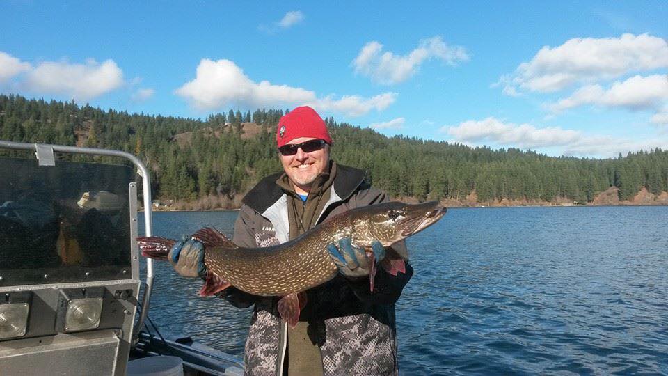 Coeur d'Alene Tribe offers cash awards for fish caught in lake