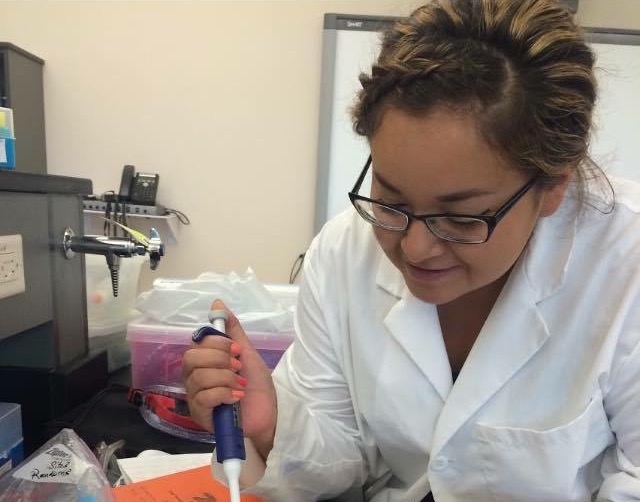 Lakota Country Times: Oglala student researches 'elk medicine'