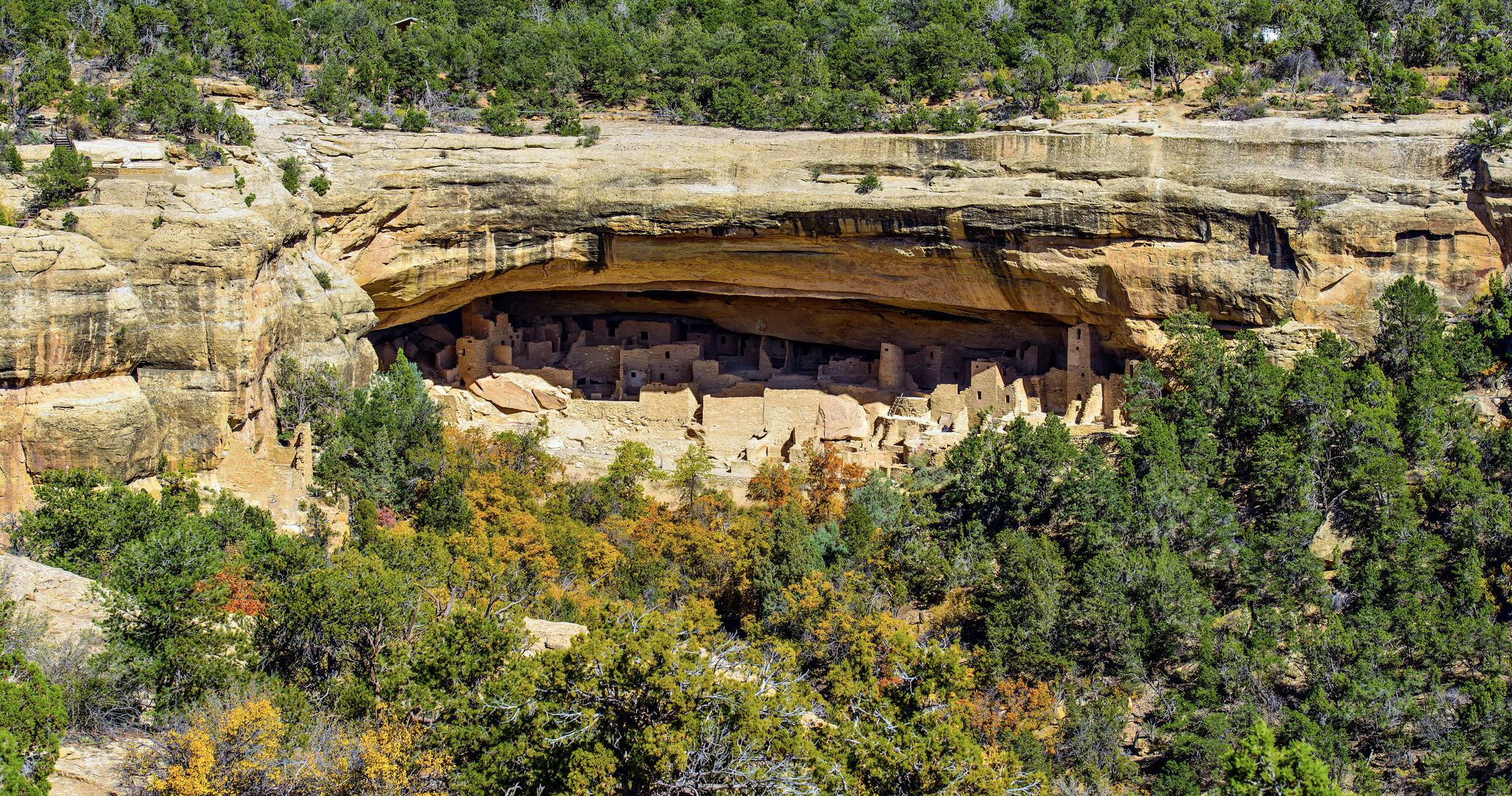 DNA links present-day Pueblo populations to ancestral homeland at Mesa Verde