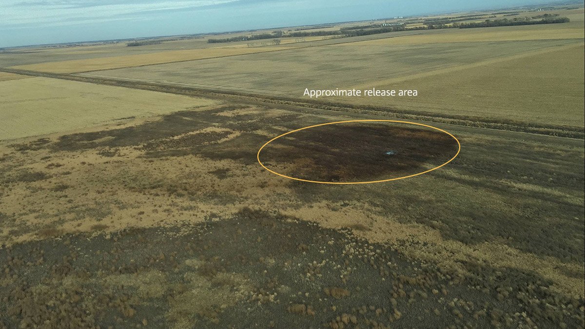 Sisseton Wahpeton Oyate concerned about massive spill of oil from Keystone Pipeline